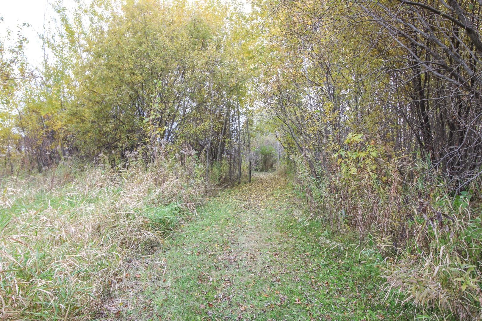 6532 North Bird Street Sun Prairie, WI 53590 - Photo 71 of 81