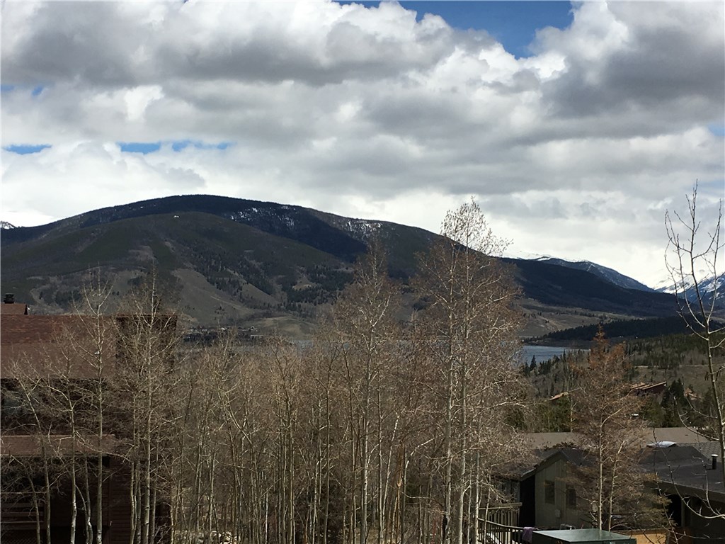 802 Ryan Gulch Road, Unit 802 Silverthorne, CO 80498 - Photo 8 of 23 Gallery Image 8