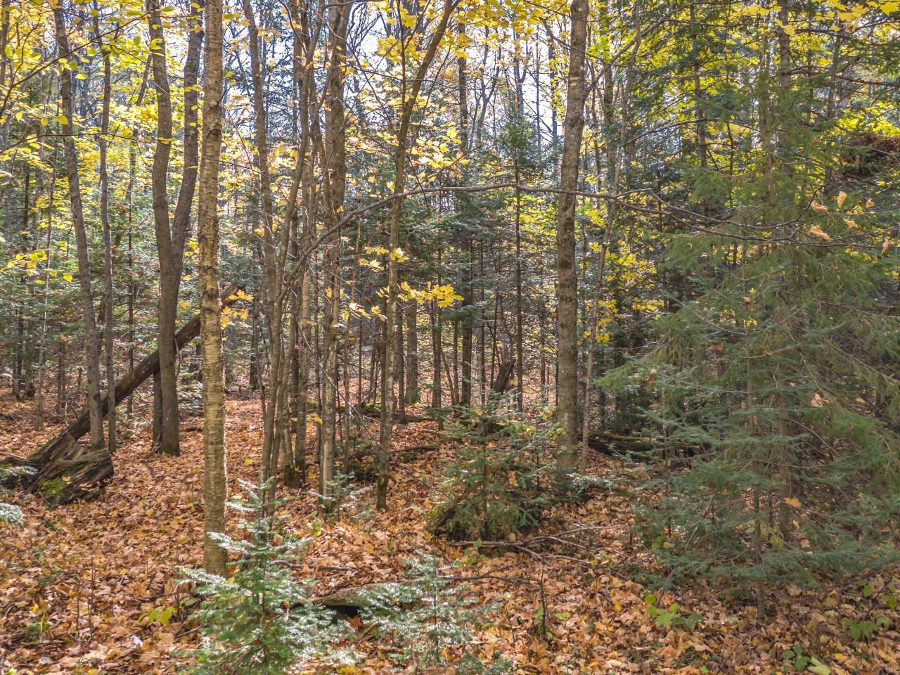 18-1489 Hawk Soup Road Phelps, WI 54554 - Photo 10 of 11 Gallery Image 10