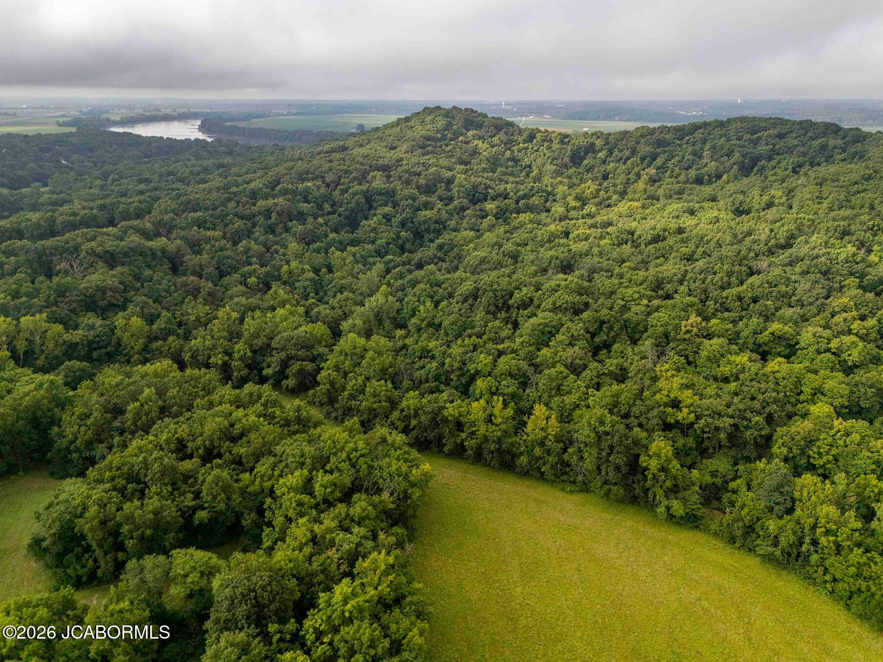Tbd Talley Road Hartsburg, MO 65039 - Photo 44 of 106
