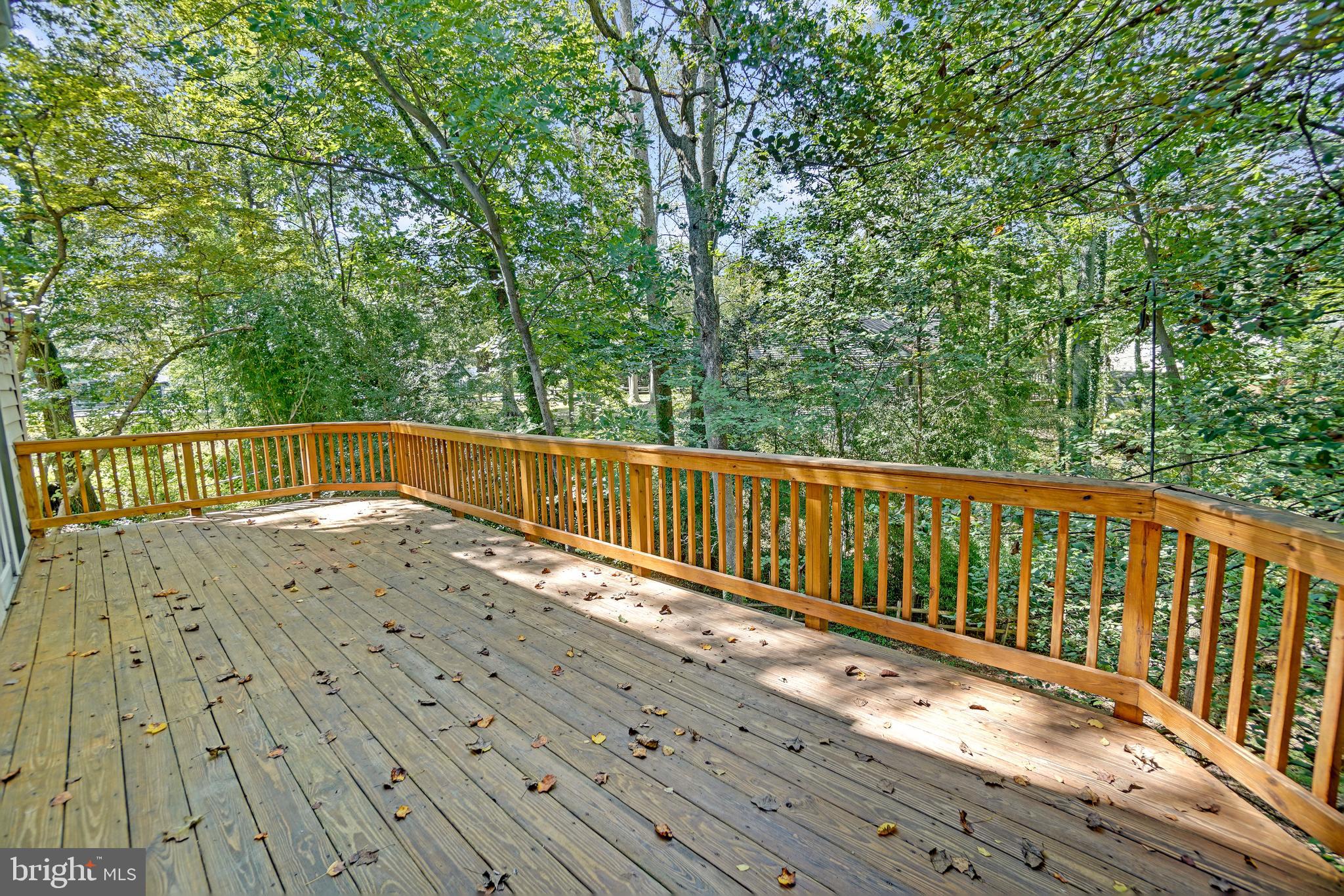 2730 Crestview Road Riva, MD 21140 - Photo 11 of 47 Mature Shade Trees