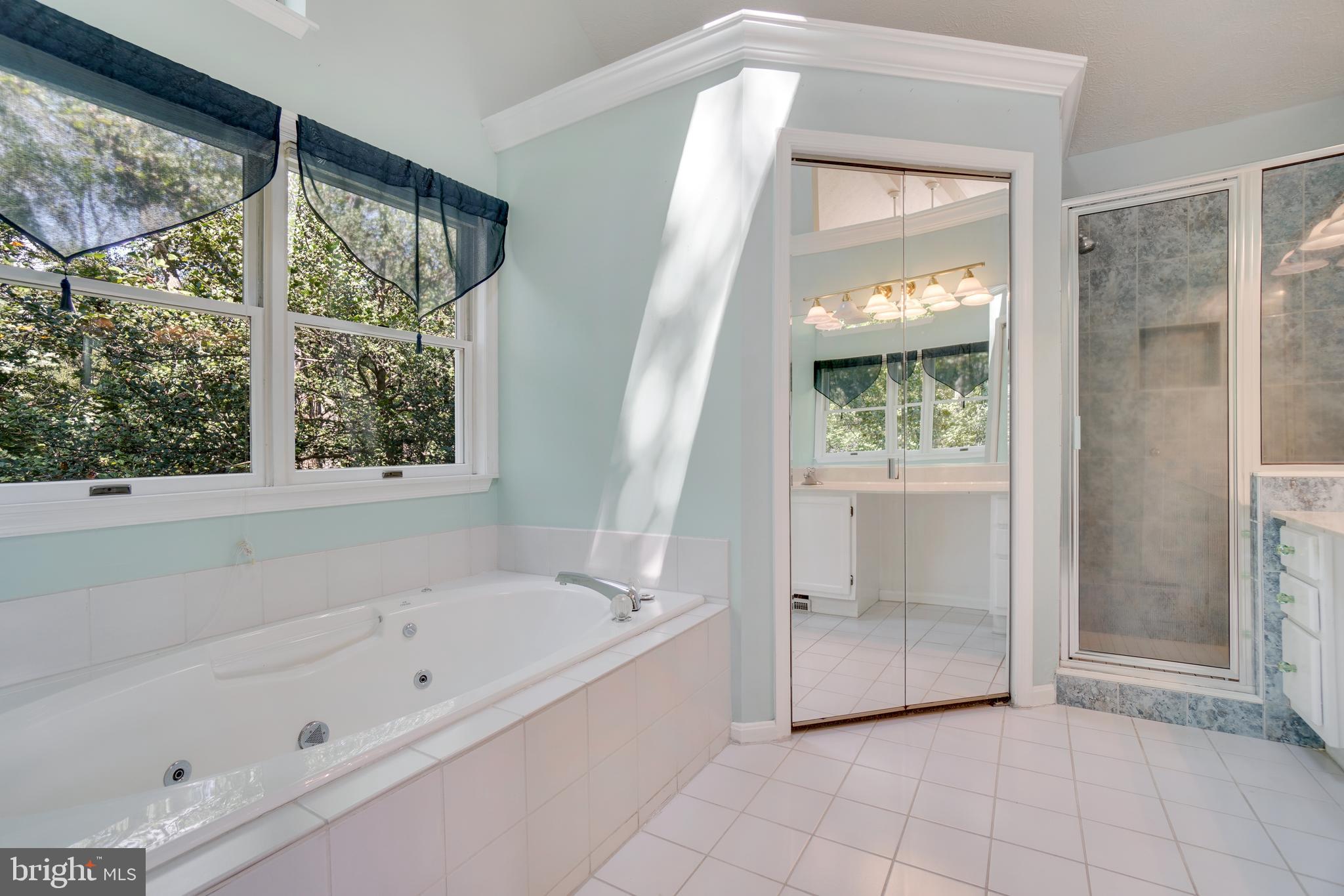 2730 Crestview Road Riva, MD 21140 - Photo 24 of 47 Walk-in Closet & soaking tub