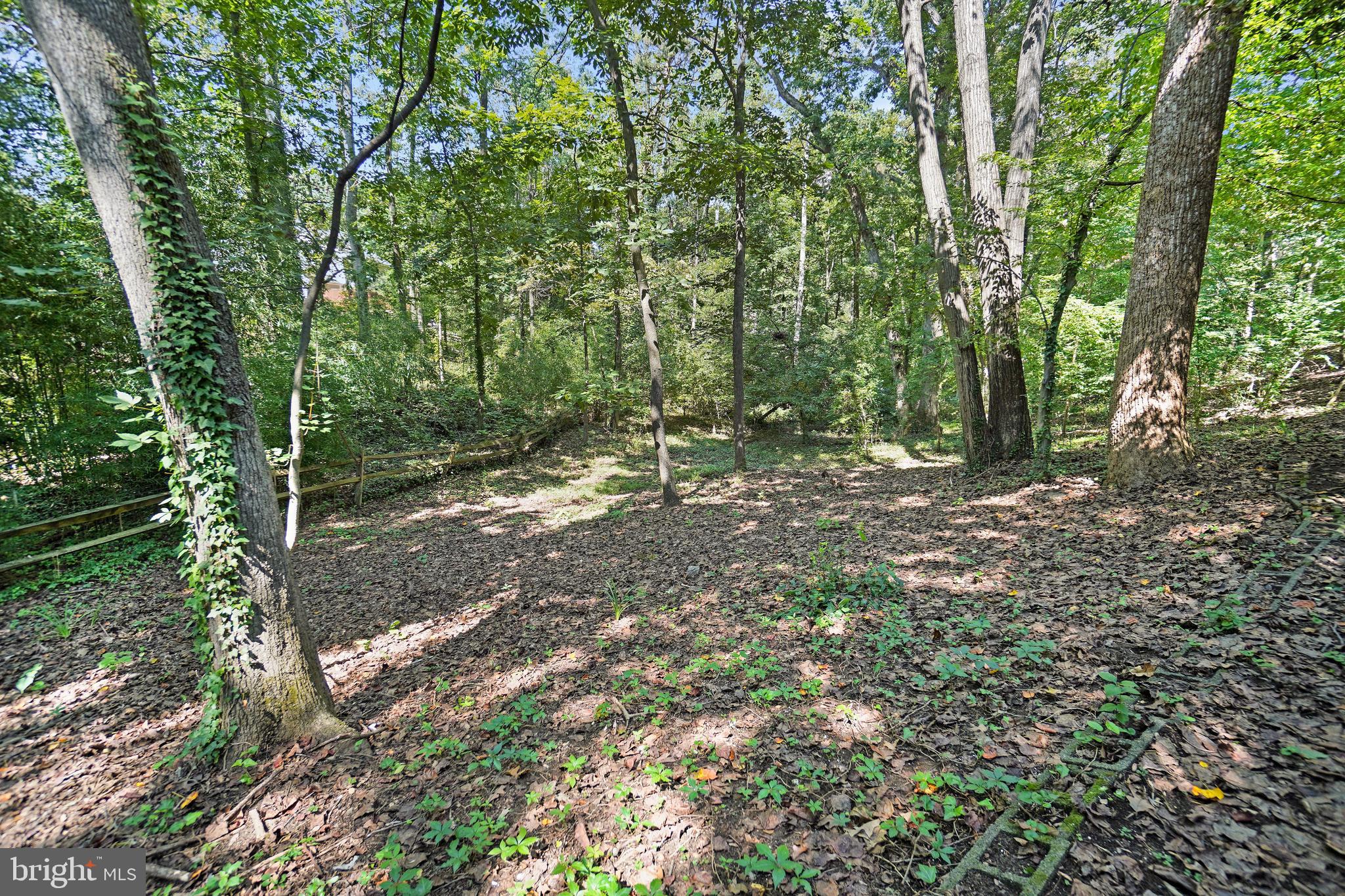 2730 Crestview Road Riva, MD 21140 - Photo 38 of 47 A House with a View of the Woods