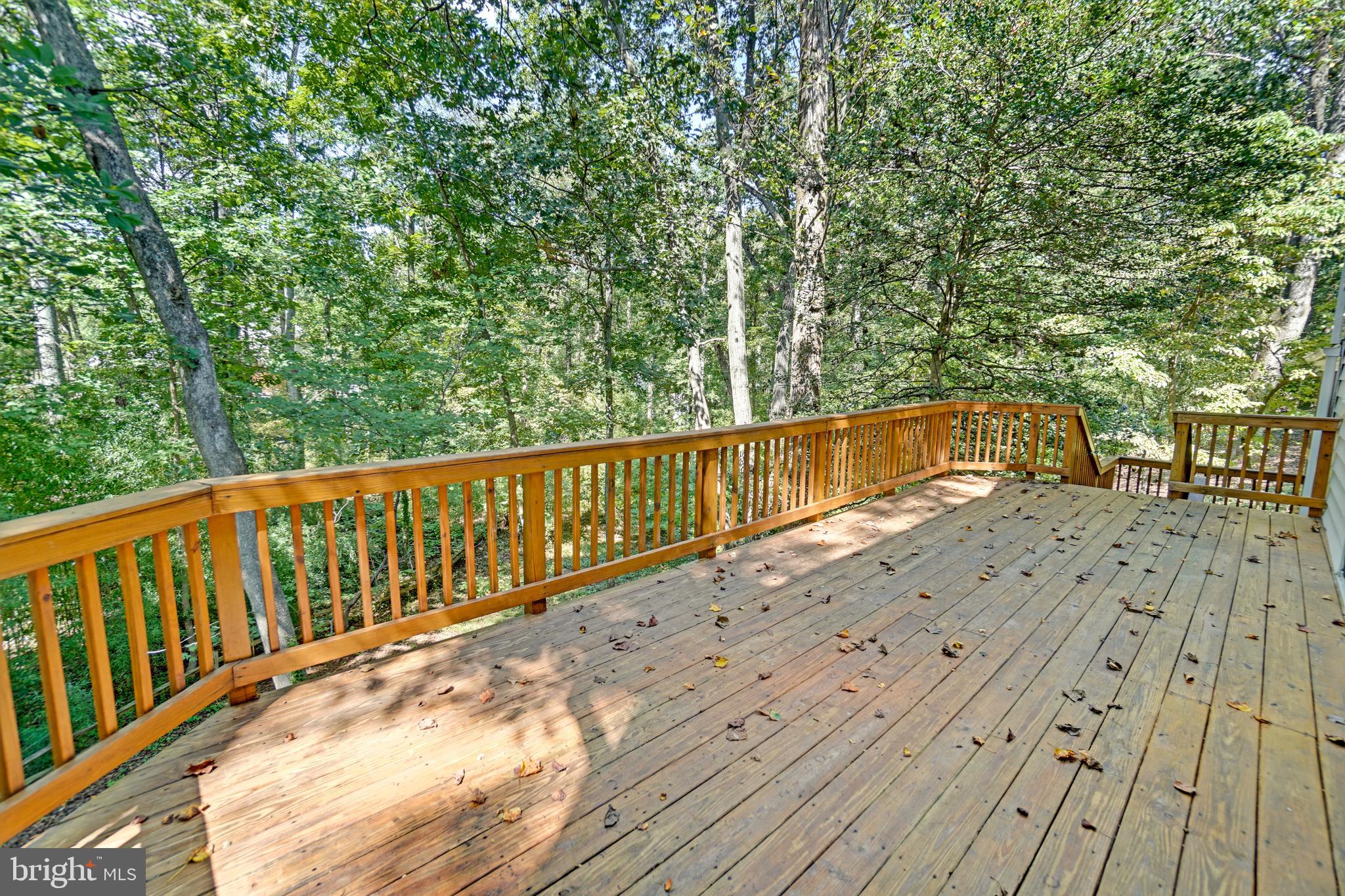 2730 Crestview Road Riva, MD 21140 - Photo 10 of 47 Long, Spacious Deck