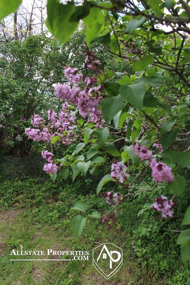 3136 East Lake Road Clio, MI 48420 - Photo 35 of 41 50040944-34.JPG