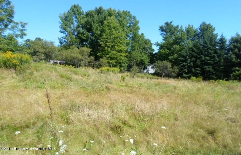 11341 Forest Lake Road Montrose, PA 18801 - Photo 2 of 16 Gallery Image 2