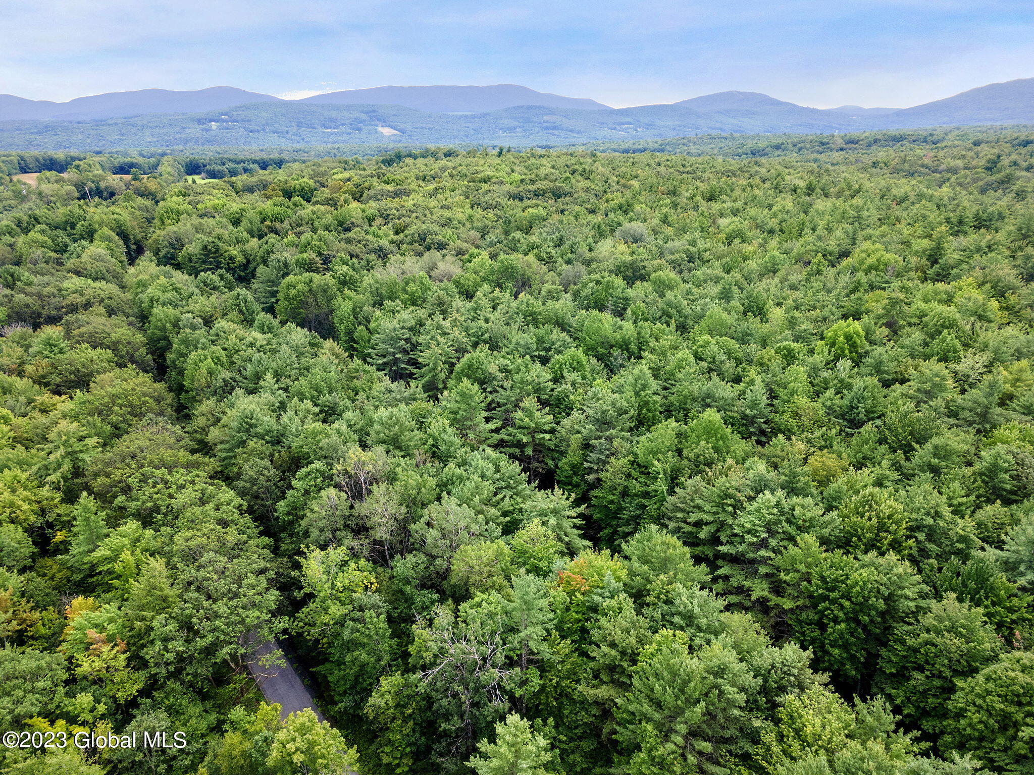 L3 Cornell Road Jefferson, NY 12093 - Photo 3 of 10 26-web-or-mls-466CornellRd_26