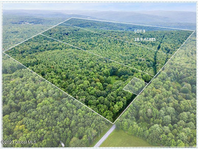 L3 Cornell Road Jefferson, NY 12093 - Photo 4 of 10 Lot 3 aerial pic