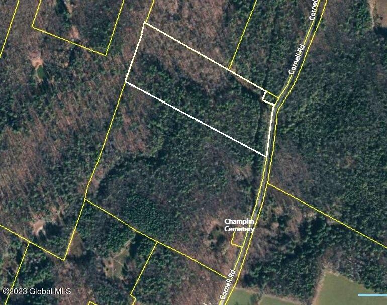 L3 Cornell Road Jefferson, NY 12093 - Photo 5 of 10 Lot 3, 18.05 acres