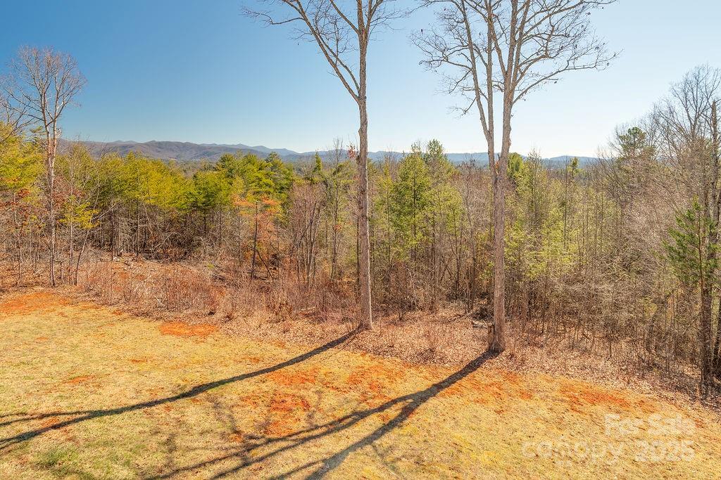 61 Buckle Ridge Weaverville, NC 28787 - Photo 36 of 42 a view of a bathroom with a bathtub