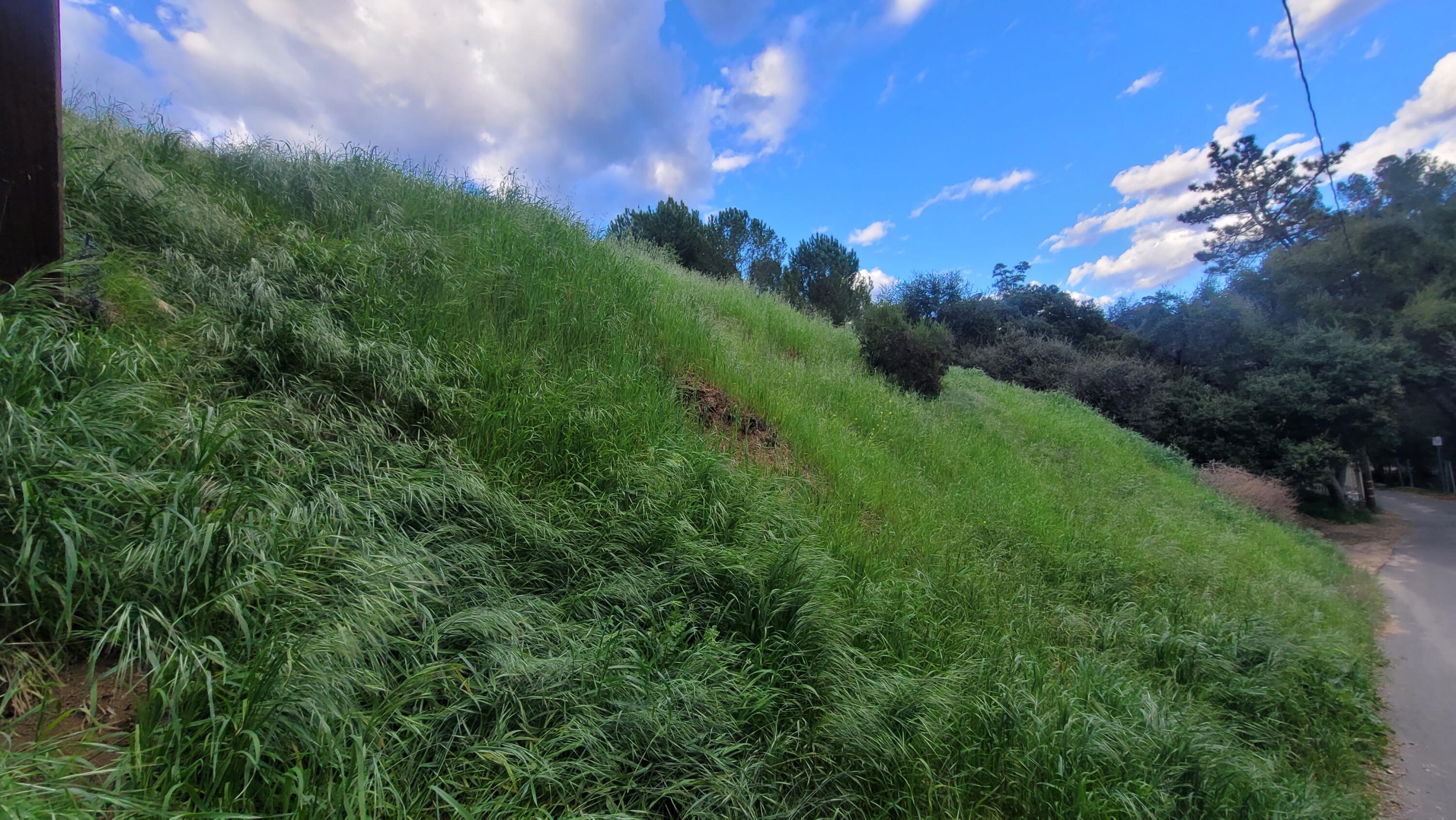North Trail Road Sylmar, CA 91342 - Photo 1 of 8 a view of a city with lush green forest