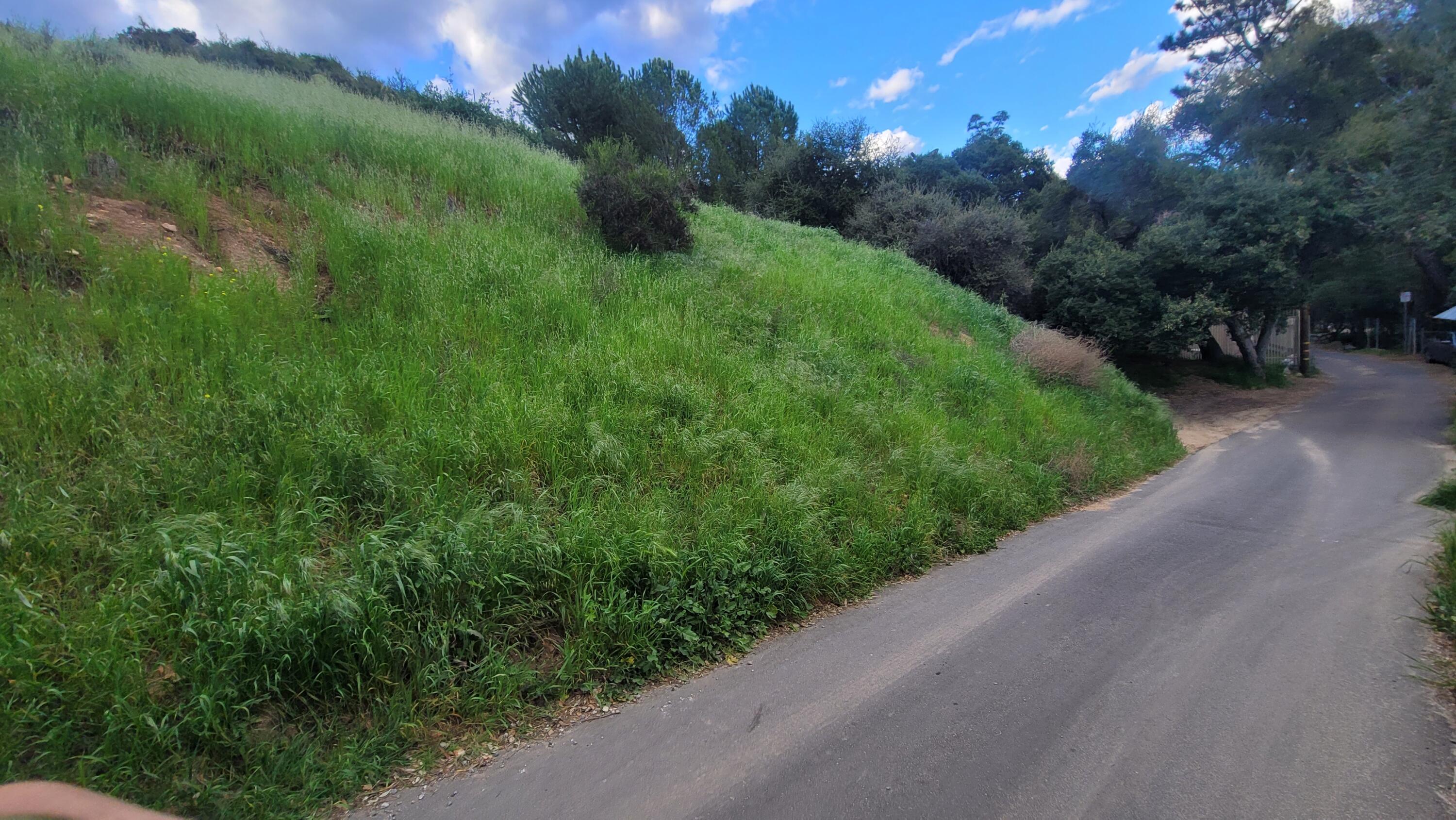 North Trail Road Sylmar, CA 91342 - Photo 2 of 8 a view of a garden with a pathway
