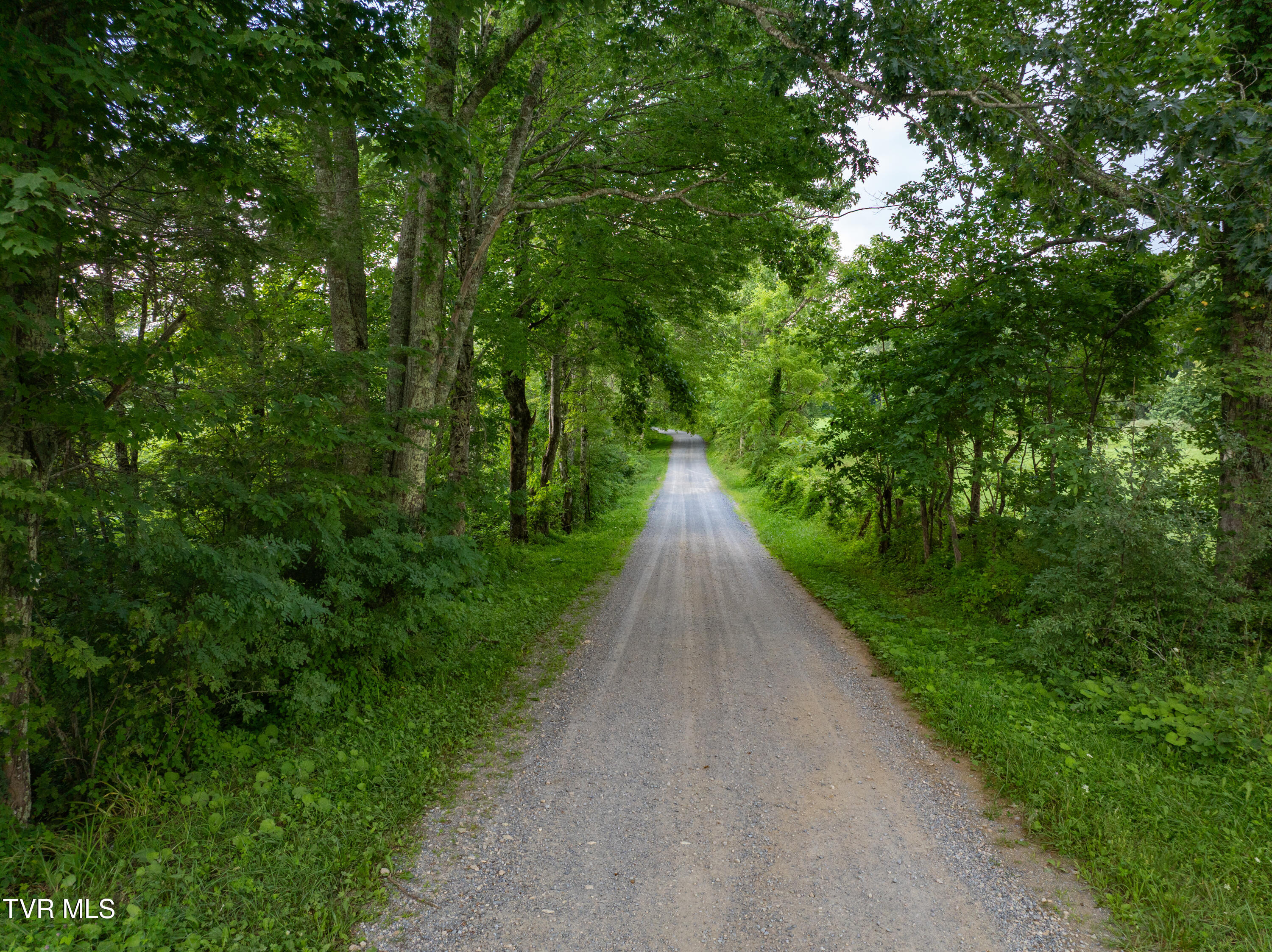 Tbd Walnut Mountain Road, Unit TBD Butler, TN 37640 - Photo 12 of 22 DJI_20250802180746_0784_D