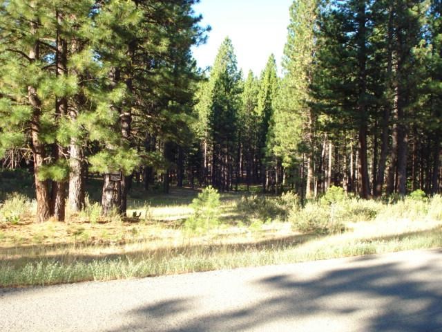405 Main Street Calpine, CA 96124 - Photo 1 of 12 Gallery Image 1