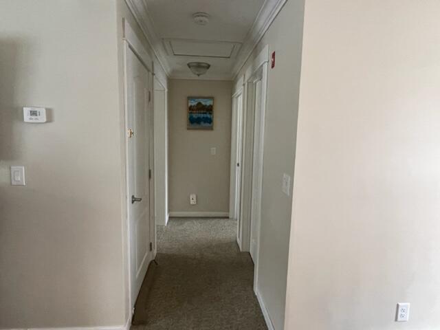 268 Edinburg Road Howland, ME 04448 - Photo 53 of 75 IMG_2806