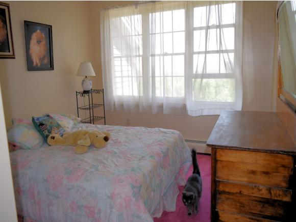 624 Tilton Hill Road Pittsfield, NH 03263 - Photo 14 of 24 Gallery Image 14