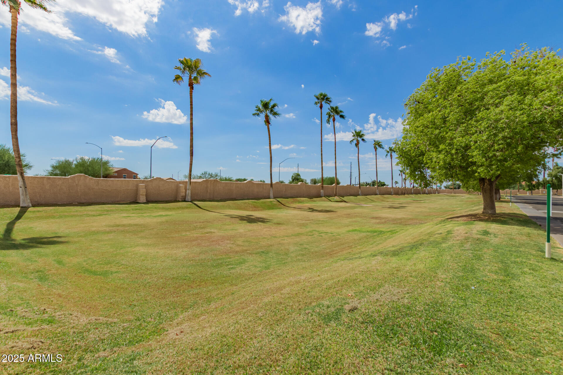 301 South Signal Butte Road, Unit 706 Apache Junction, AZ 85120 - Photo 44 of 51 a large body of water with palm trees