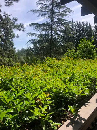 $456,500 | 17503 Alexandra Way, Grass Valley, CA 95949