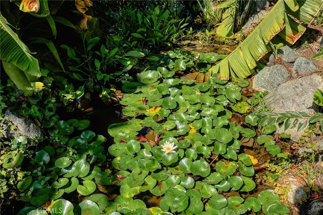 a backyard of a house