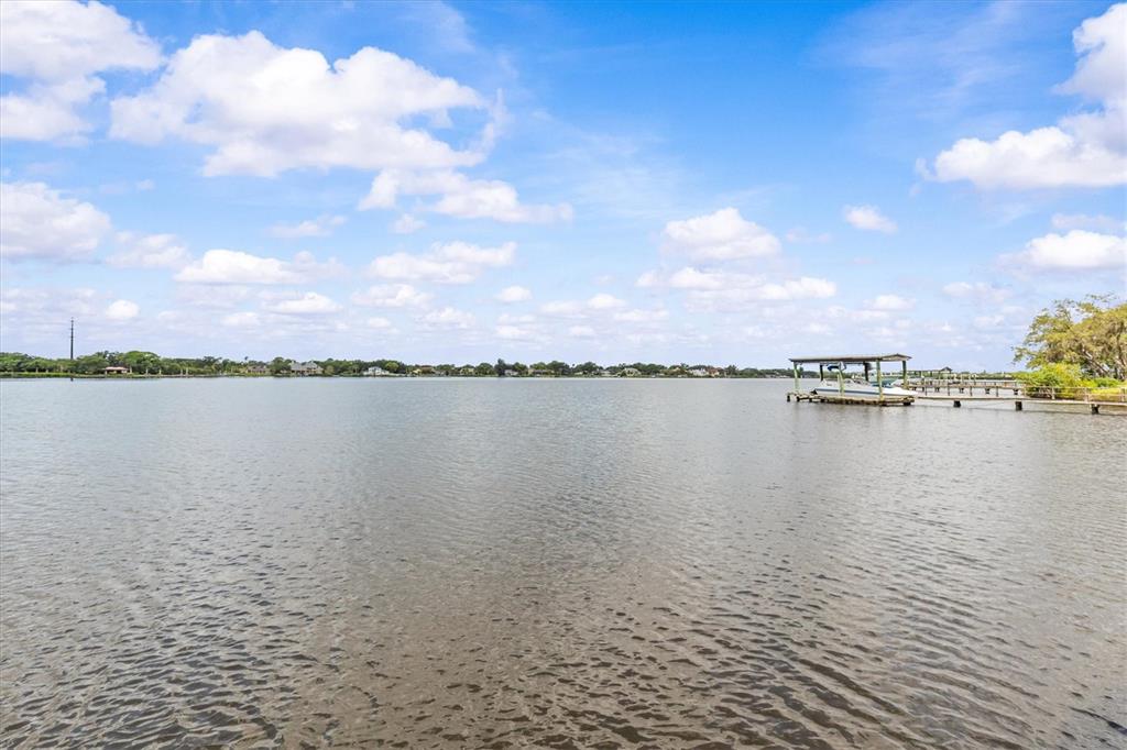 948 Riverside Ridge Road Tarpon Springs, FL 34688 - Photo 67 of 68 Gallery Image 67
