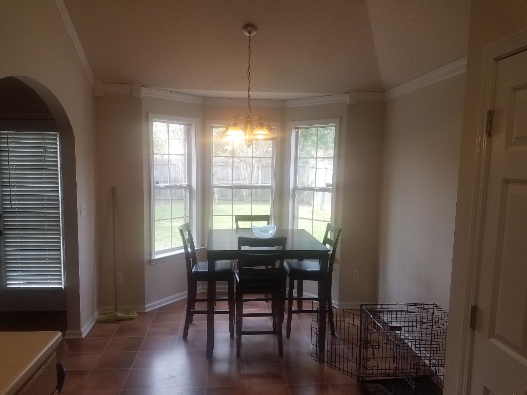 8620 Brer Rabbit Cove Cordova, TN 38018 - Photo 5 of 13 Gallery Image 5
