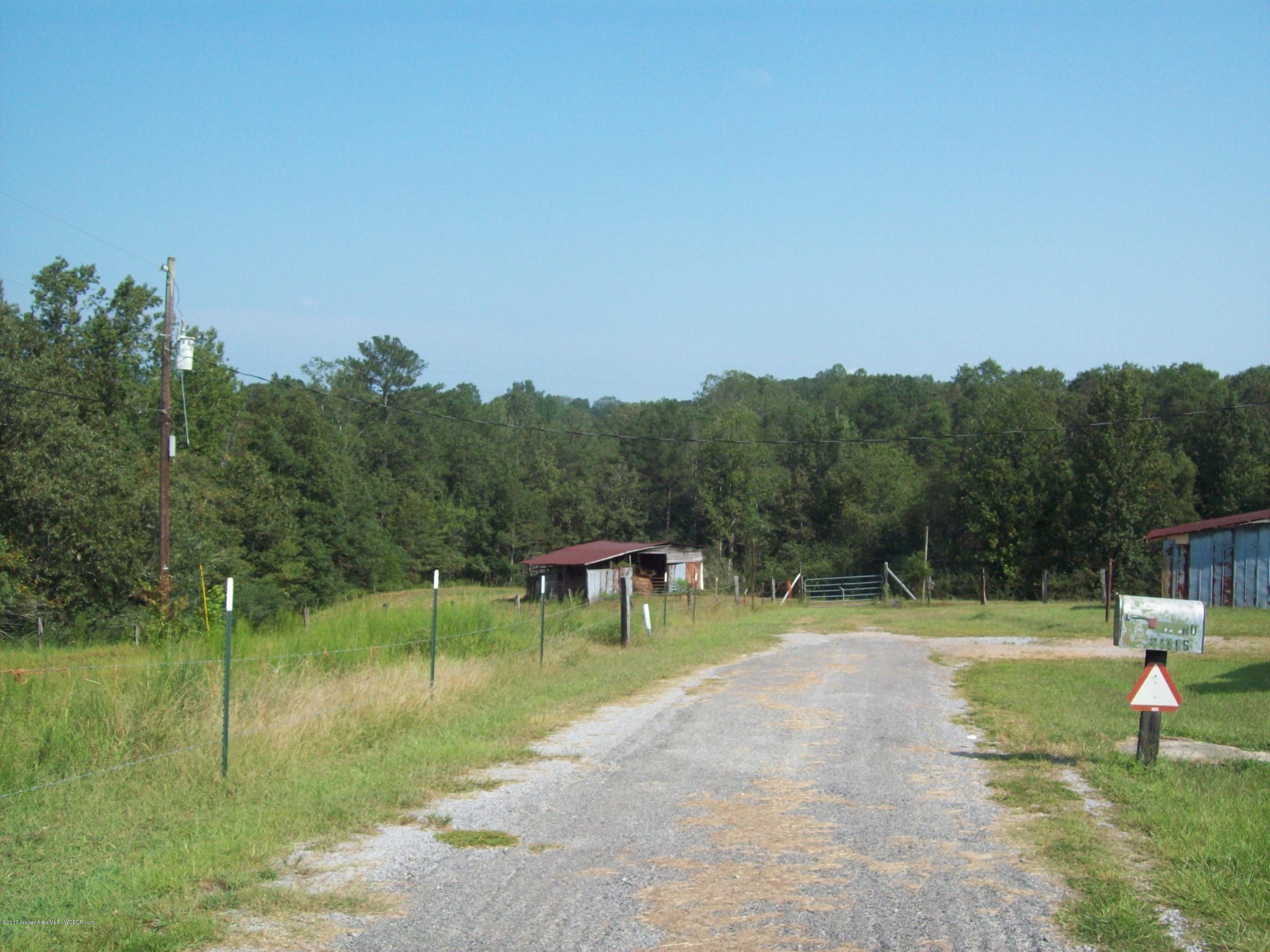 222 Dill Road Jasper, AL 35504 - Photo 12 of 28 Gallery Image 12