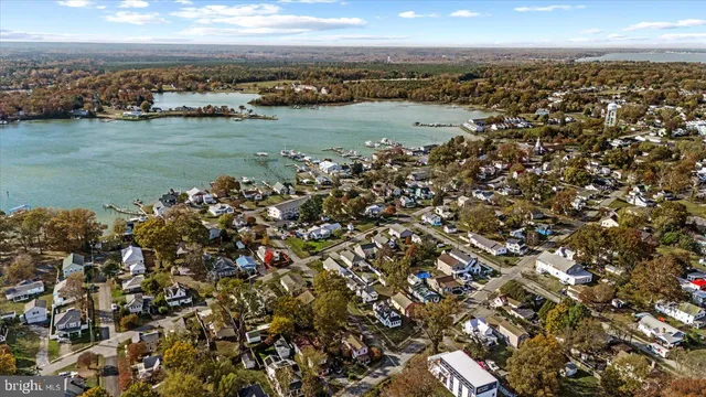 a close up of a tree