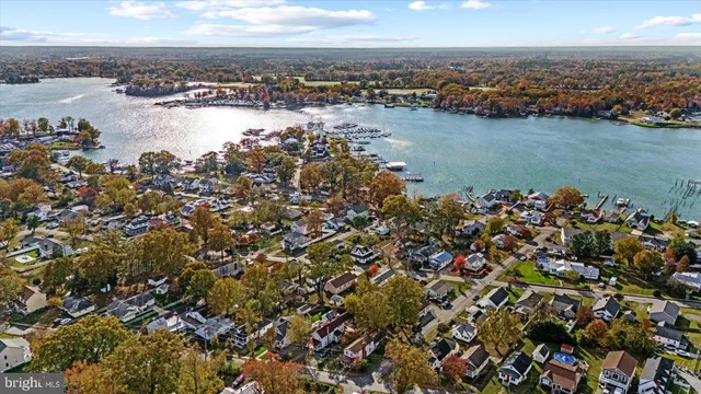 a close up of a plant in a garden