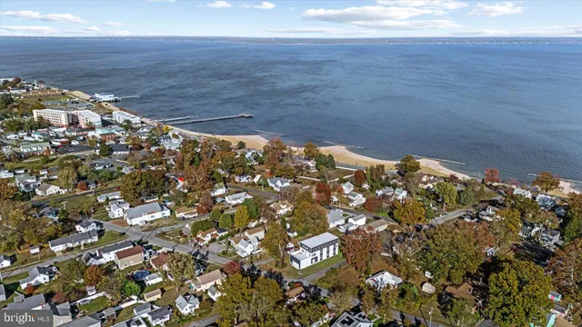 a view of a yard with plants