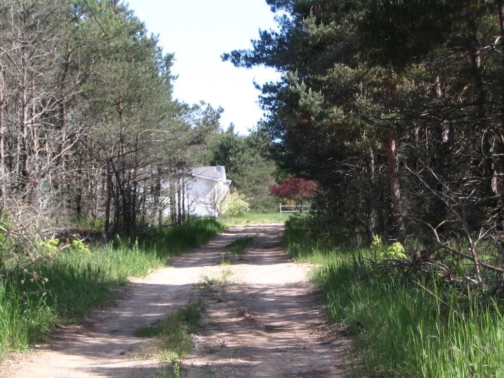 11146 Johnson Road Brethren, MI 49619 - Photo 56 of 60 1800705-55.JPG