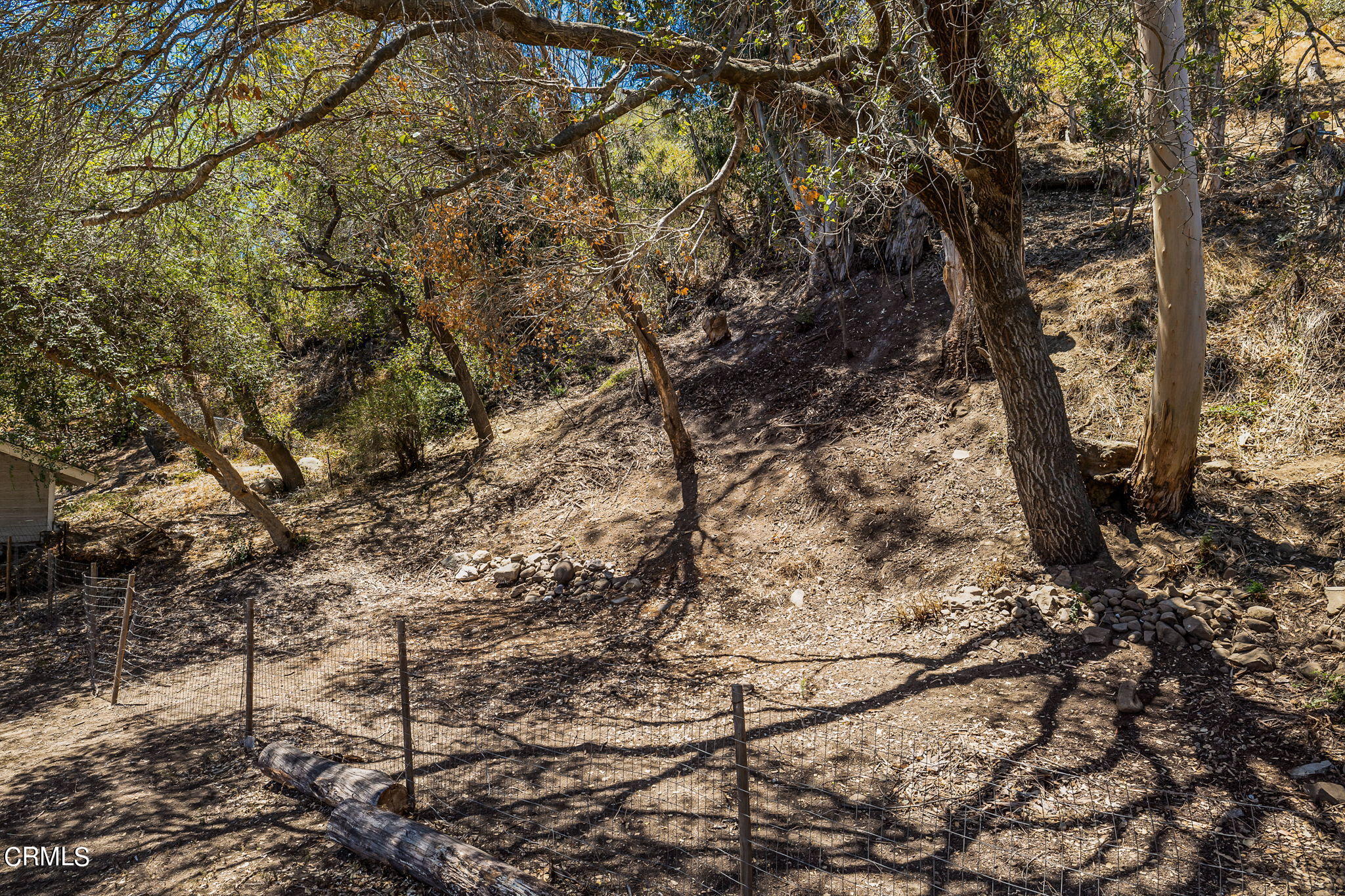 828 Ojai Road Santa Paula, CA 93060 - Photo 34 of 45 Back Yard 828 Ojai Road