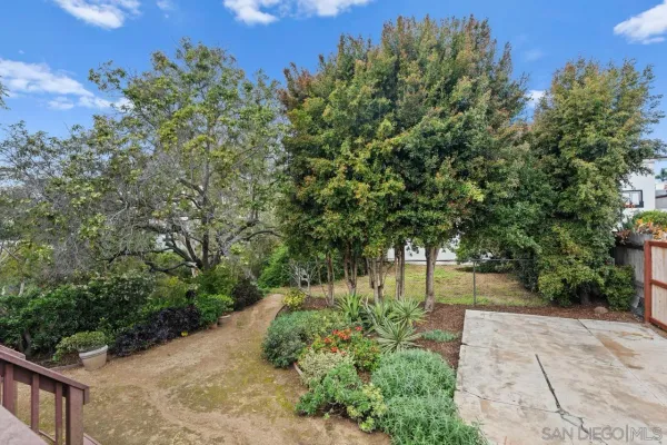 a view of a back yard