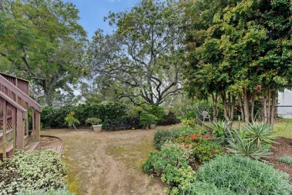 a view of a garden