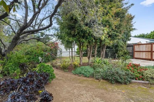 a view of a garden