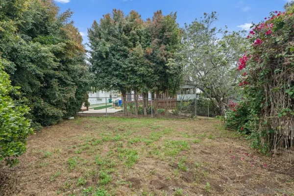 a view of a house with a tree