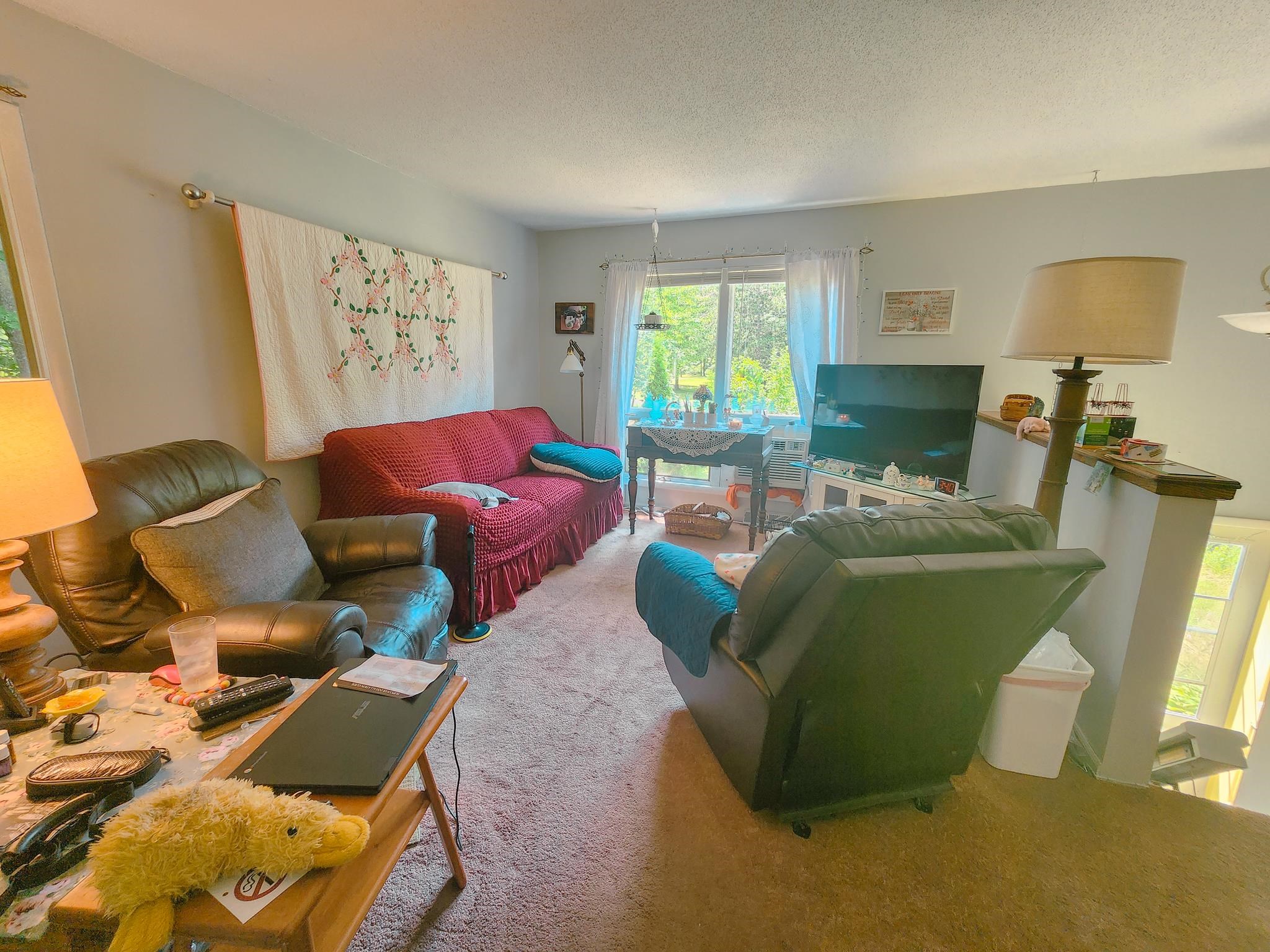 4930 North Alamando Road Coleman, MI 48618 - Photo 23 of 52