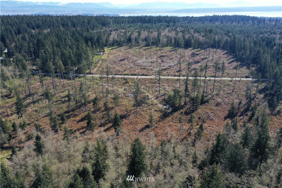 0 North Camano Ridge Road Camano Island, WA 98282 - Photo 3 of 10 Gallery Image 3