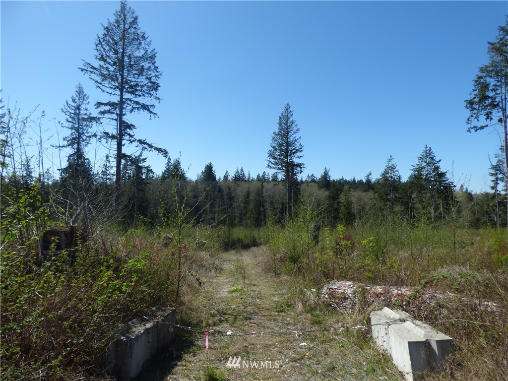 0 North Camano Ridge Road Camano Island, WA 98282 - Photo 4 of 10 Gallery Image 4
