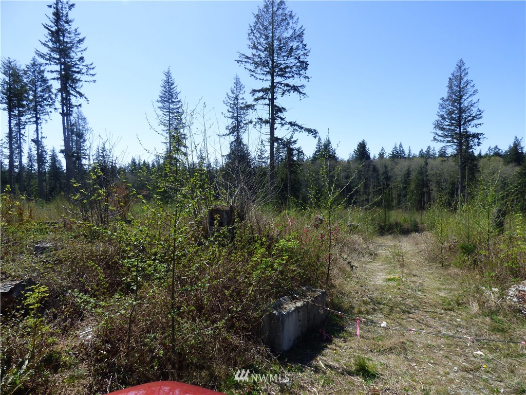 0 North Camano Ridge Road Camano Island, WA 98282 - Photo 6 of 10 Gallery Image 6