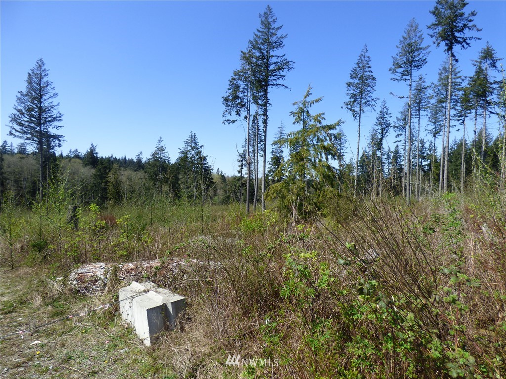 0 North Camano Ridge Road Camano Island, WA 98282 - Photo 7 of 10 Gallery Image 7