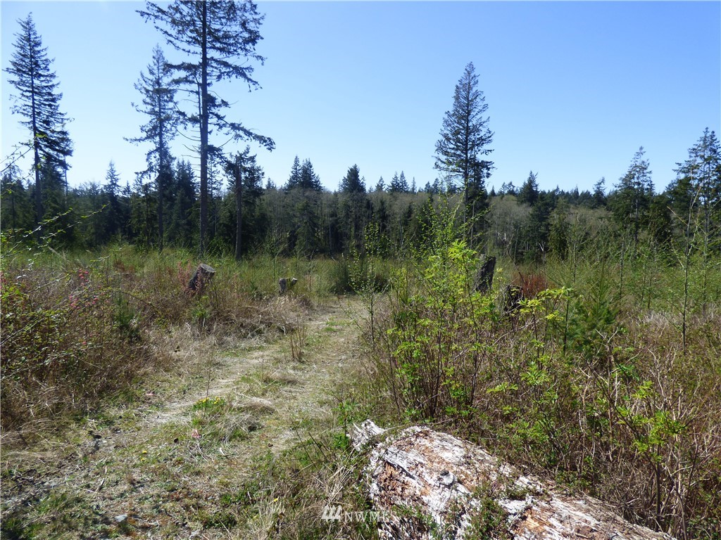 0 North Camano Ridge Road Camano Island, WA 98282 - Photo 8 of 10 Gallery Image 8