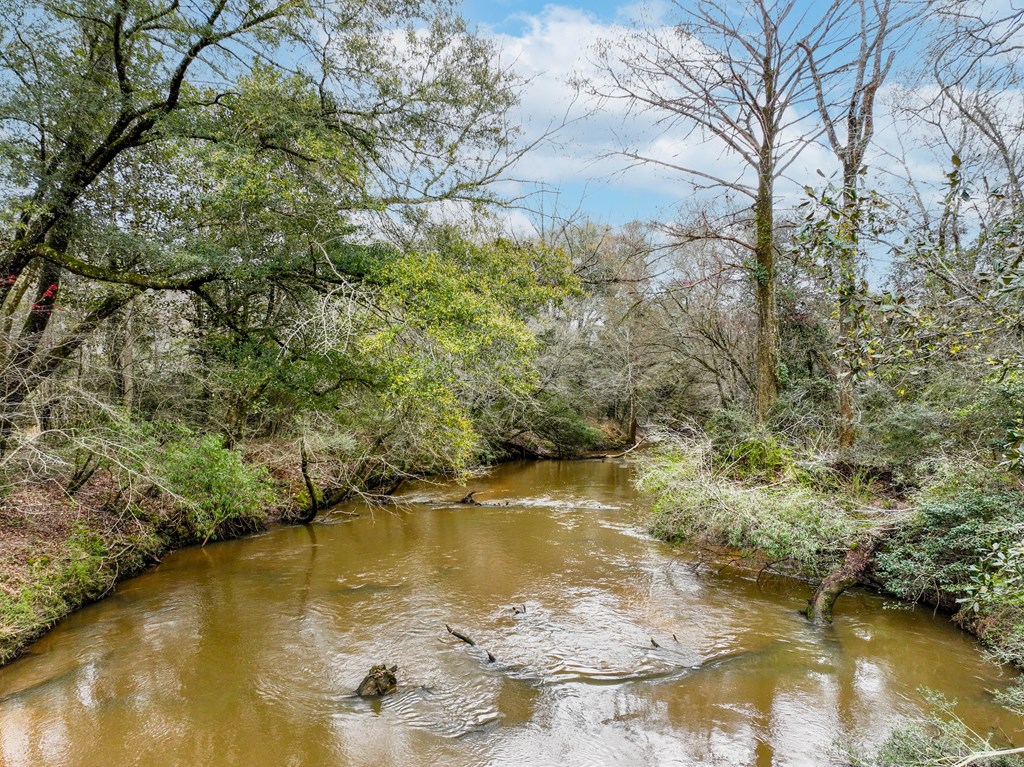 0 Double Creek Road Coffee Springs, AL 36318 - Photo 12 of 24