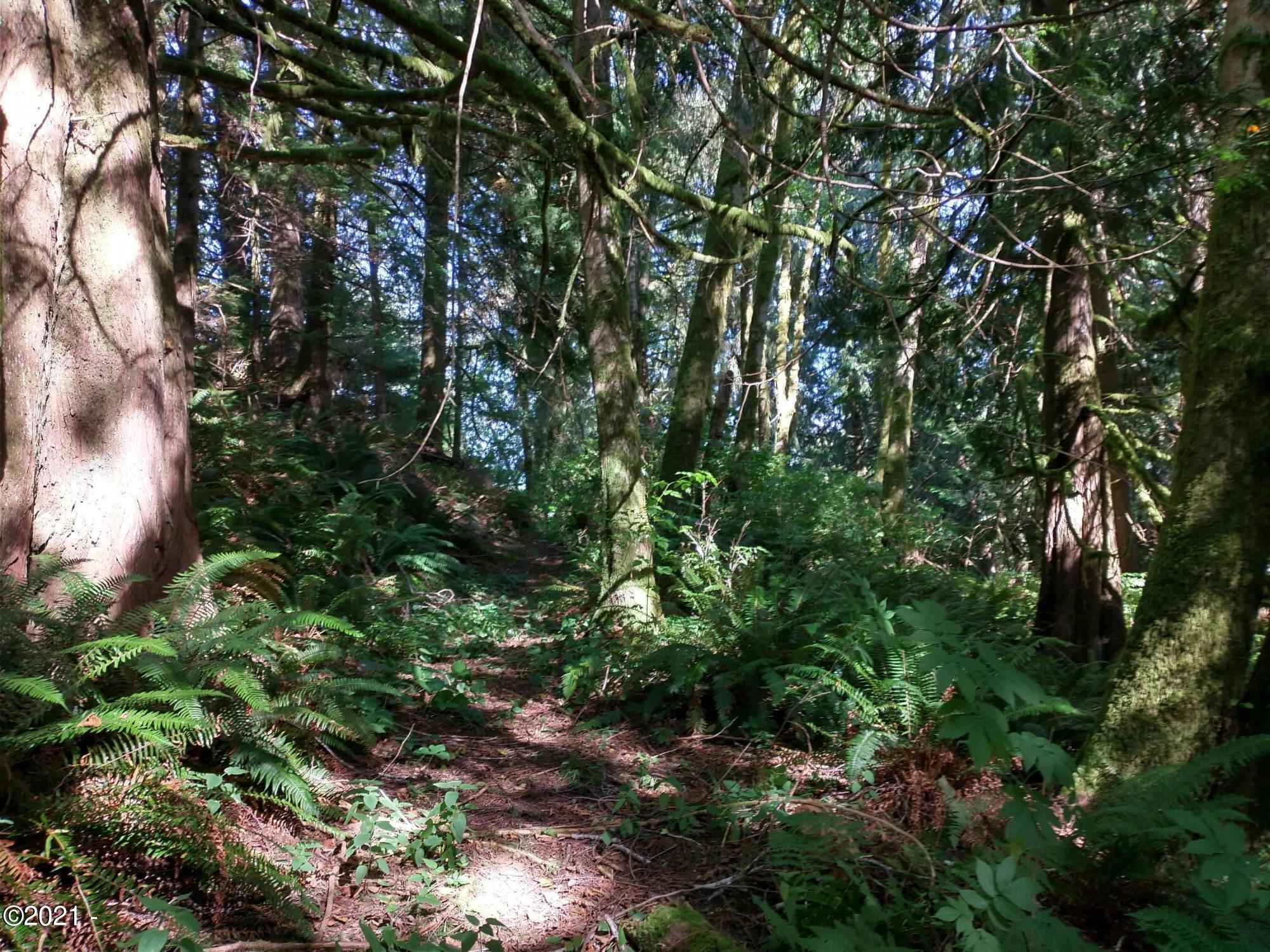 1207 Sandlake Road Cloverdale, OR 97112 - Photo 22 of 26 Photo 9