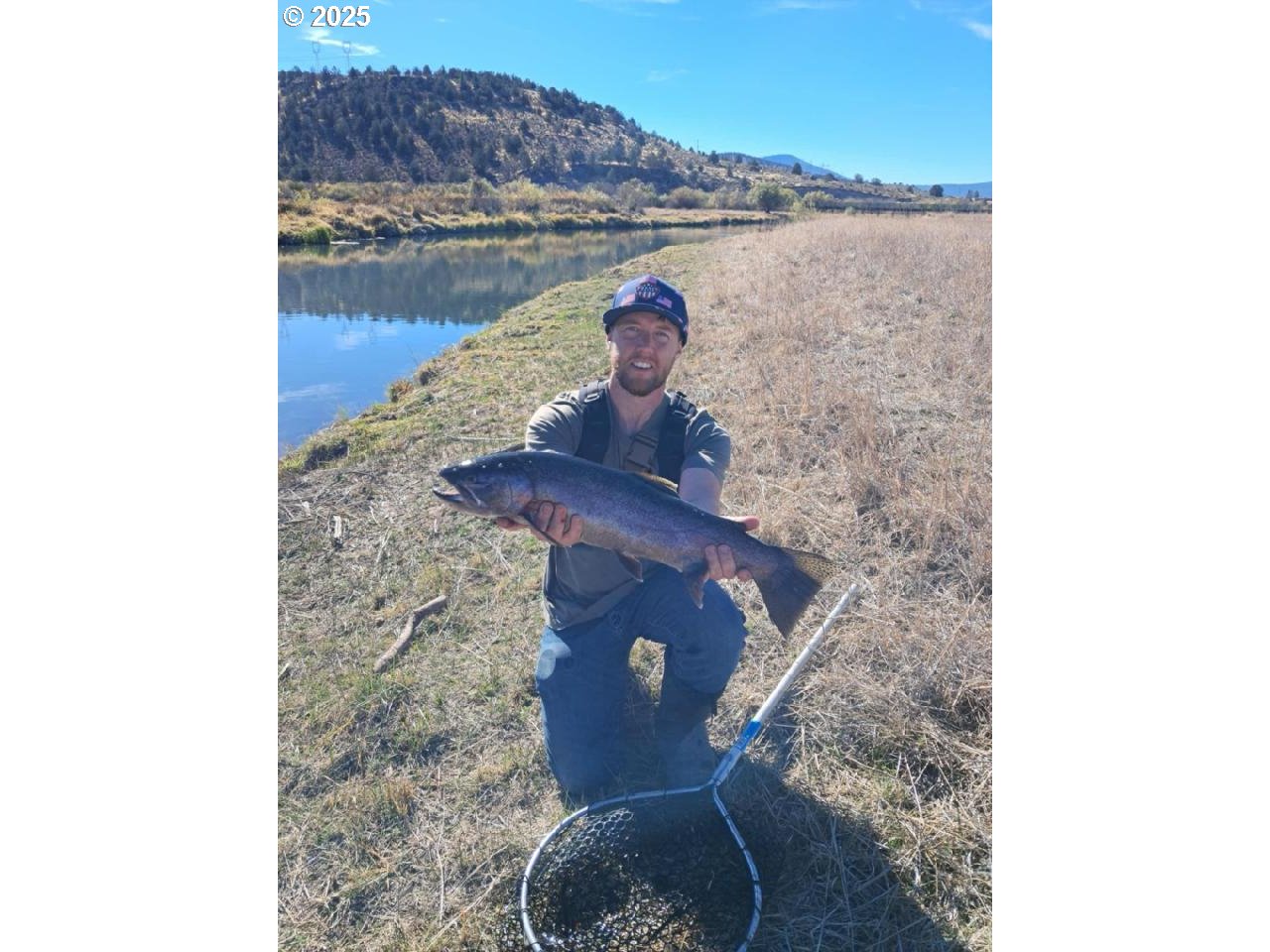 29951 Oregon Pines Road Beatty, OR 97621 - Photo 12 of 48