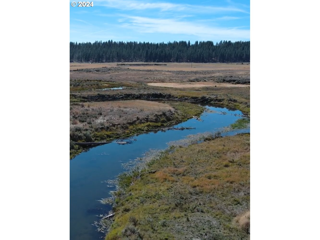 29951 Oregon Pines Road Beatty, OR 97621 - Photo 13 of 48