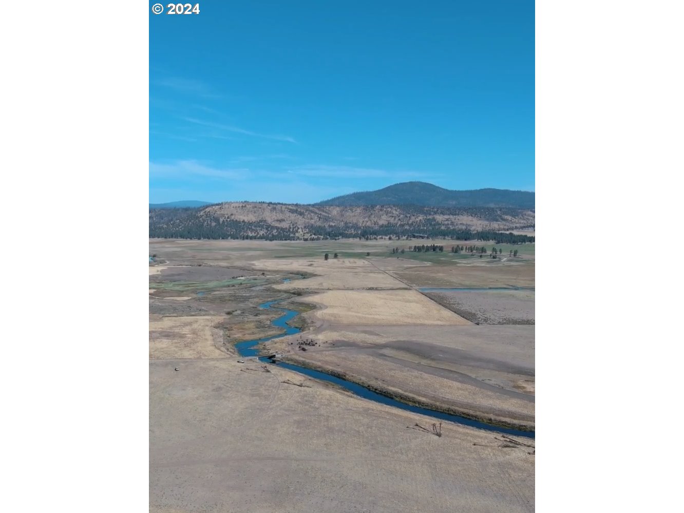 29951 Oregon Pines Road Beatty, OR 97621 - Photo 5 of 48