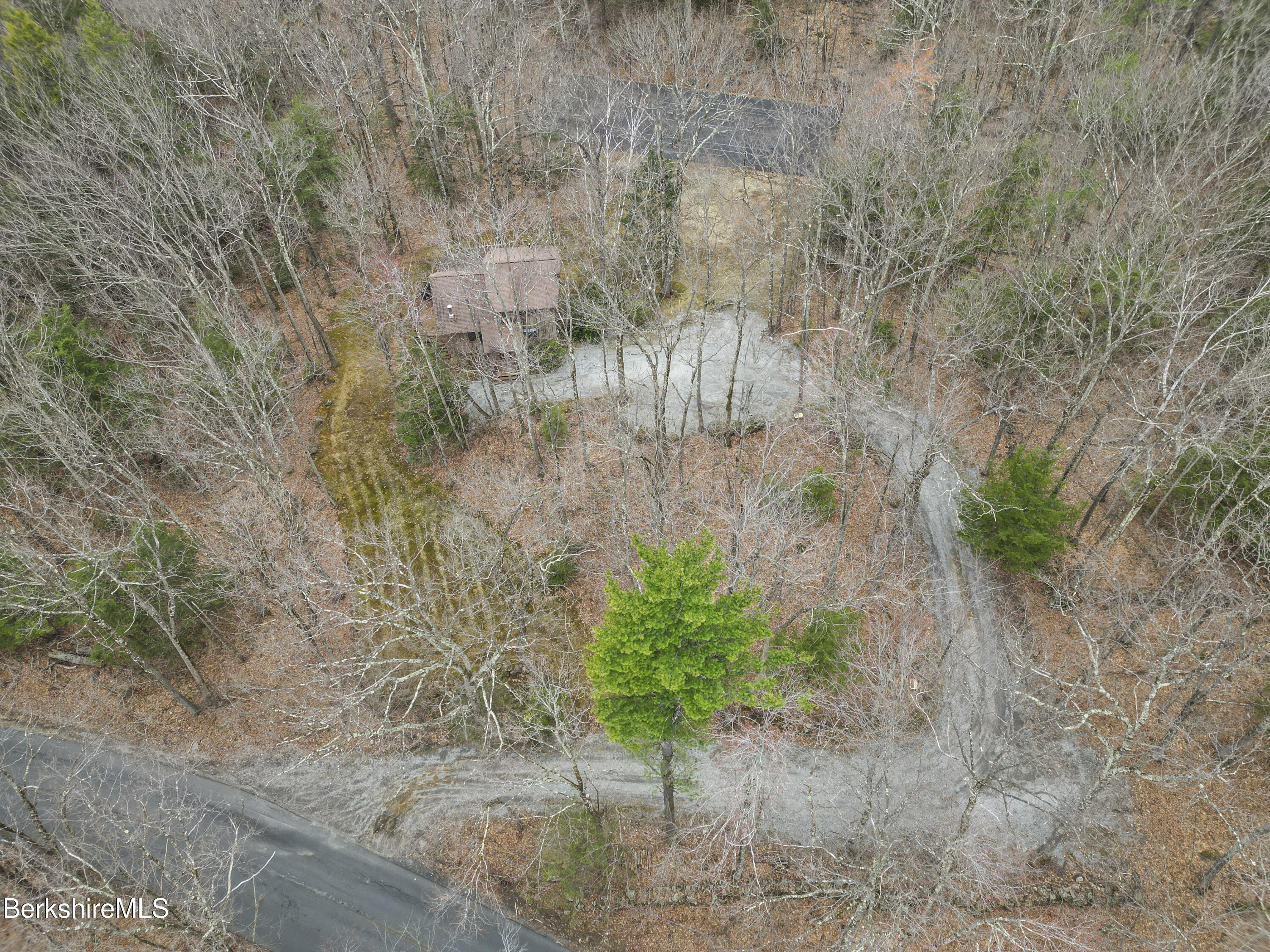 125 Town Hill Road Sandisfield, MA 01255 - Photo 42 of 42 a view of a plants with a yard