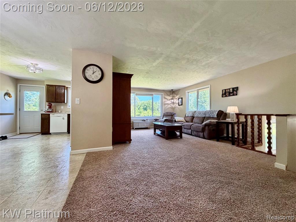 4059 Galbraith Line Road Croswell, MI 48422 - Photo 9 of 37