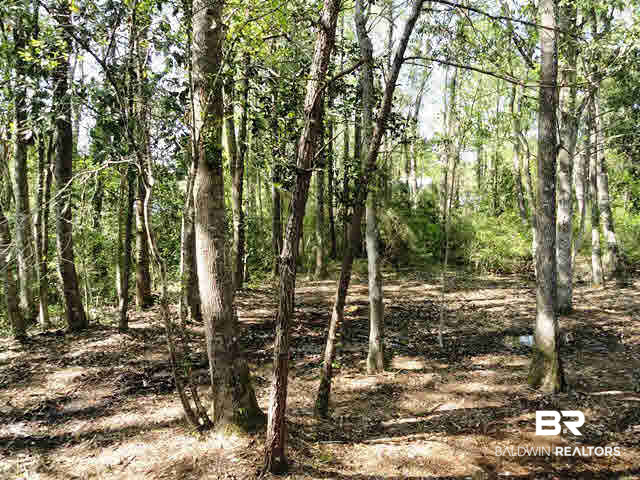 519 West Bay Bluff Daphne, AL 36526 - Photo 25 of 25 Back Yard