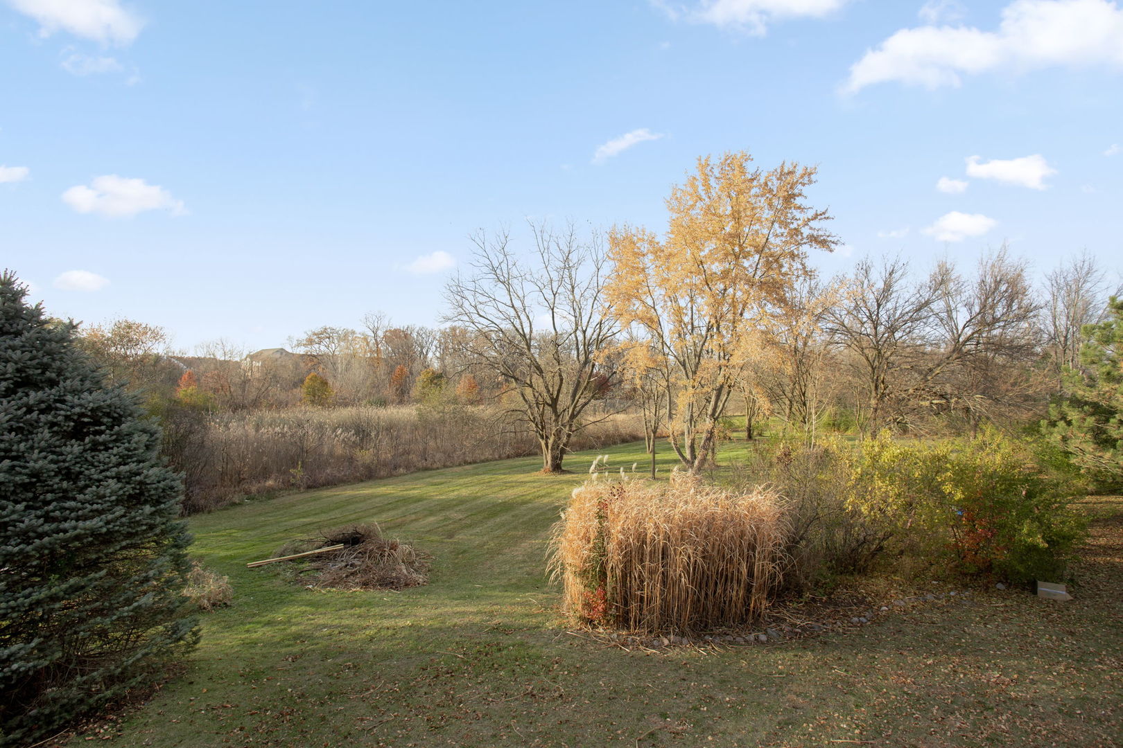 537 Arbor Lane Oswego, IL 60543 - Photo 7 of 33 a backyard of a house with trees